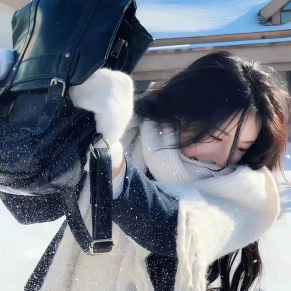 双面艾莉丝