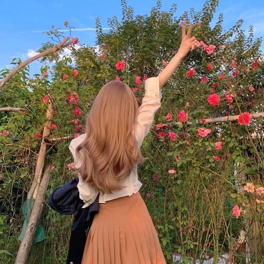 红槐花